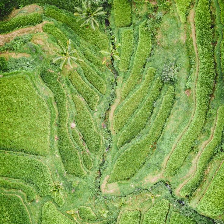 Family terraces and cafés for calm evenings in Madrid